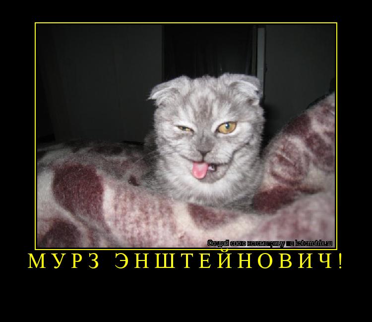 Мурз Энштейнович! ... Котоматрица: Мурз Энштейнович!