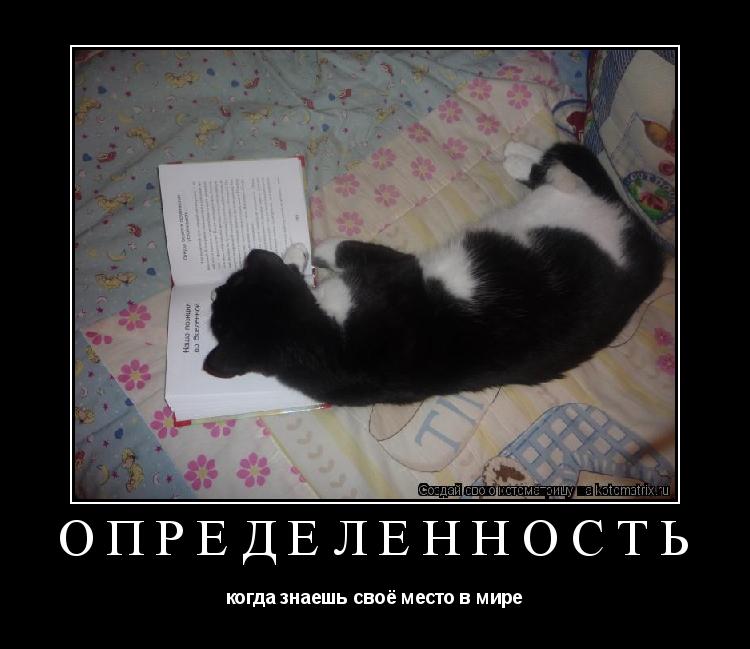определенность когда знаешь своё место в мире... Котоматрица: определенность когда знаешь своё место в мире