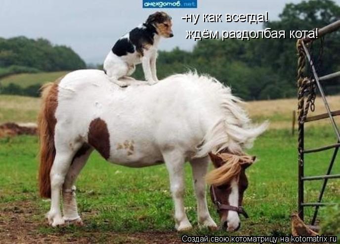 -ну как всегда! ждём раздолбая кота!... Котоматрица: -ну как всегда! ждём раздолбая кота!
