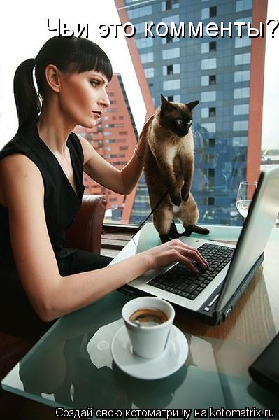 Чьи это комменты?... Котоматрица: Чьи это комменты?