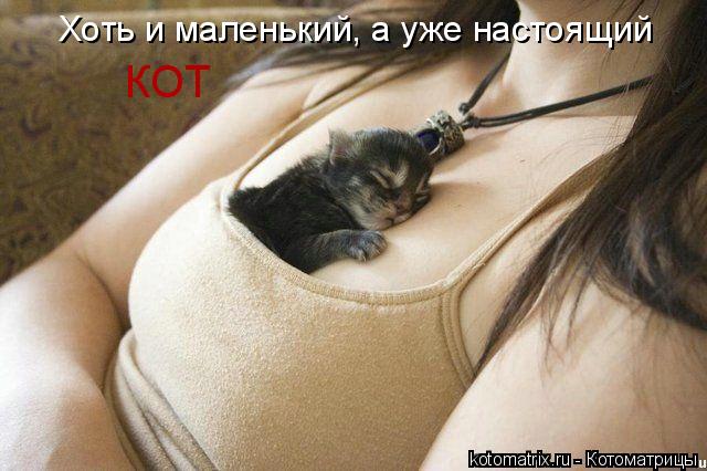 Хоть и маленький, а уже настоящий КОТ... Котоматрица: Хоть и маленький, а уже настоящий КОТ