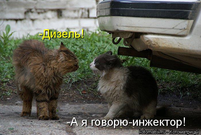 -Дизель! -А я говорю-инжектор!... Котоматрица: -Дизель! -А я говорю-инжектор!