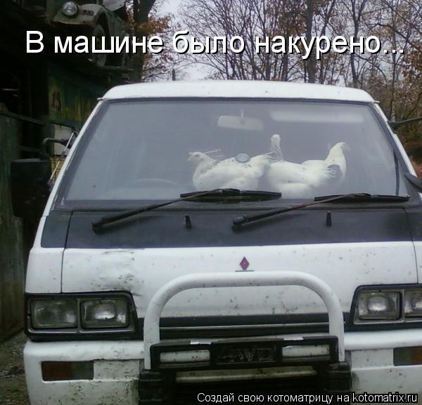 В машине было накурено...... Котоматрица: В машине было накурено...