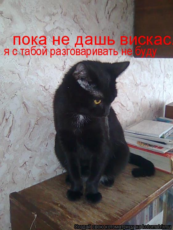 пока не дашь вискас. я с табой разговаривать не буду... Котоматрица: пока не дашь вискас. я с табой разговаривать не буду