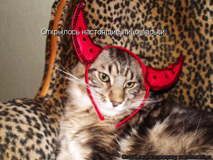Открылось настоящие лицо васьки... Котоматрица: Открылось настоящие лицо васьки