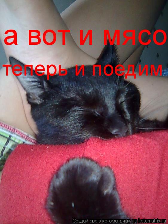 а вот и мясо теперь и поедим... Котоматрица: а вот и мясо теперь и поедим