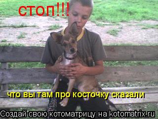 стоп!!! что вы там про косточку сказали... Котоматрица: стоп!!! что вы там про косточку сказали