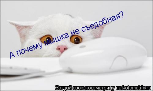 А почему мышка не съедобная?... Котоматрица: А почему мышка не съедобная?