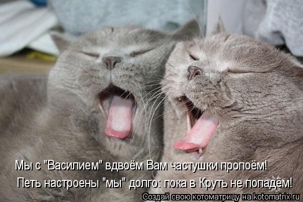 Петь настроены "мы" долго: пока в Круть не попадём! Мы с "Василием" вдвоём Вам частушки пропоём!... Котоматрица: Петь настроены "мы" долго: пока в Круть не попадём! Мы с "Василием" вдвоём Вам частушки пропоём!