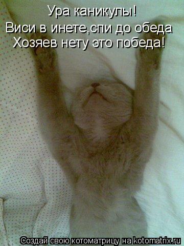 Ура каникулы! Виси в инете,спи до обеда Хозяев нету это победа!... Котоматрица: Ура каникулы! Виси в инете,спи до обеда Хозяев нету это победа!