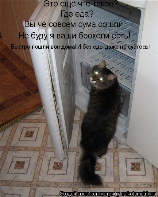 Это ещё что такое? Где еда? Вы чё совсем сума сошли Не буду я ваши броколи есть! Быстро пошли вон дом... Котоматрица: Это ещё что такое? Где еда? Вы чё совсем сума сошли Не буду я ваши броколи есть! Быстро пошли вон дома!И без еды даже не суйтесь!