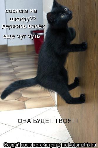 сосиска на шкафу?? держись васёк еще чут чуть ОНА БУДЕТ ТВОЯ!!!... Котоматрица: сосиска на шкафу?? держись васёк еще чут чуть ОНА БУДЕТ ТВОЯ!!!