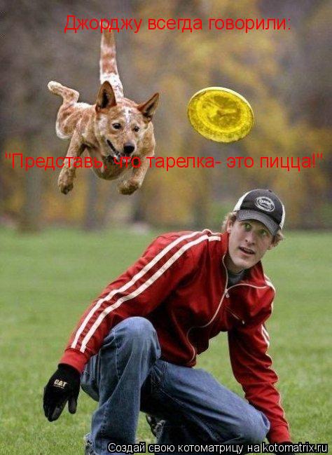 Джорджу всегда говорили: "Представь, что тарелка- это пицца!"... Котоматрица: Джорджу всегда говорили: "Представь, что тарелка- это пицца!"