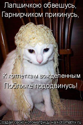 Котоматрица: Лапшичкою обвешусь, Гарнирчиком прикинусь, К котлеткам вожделенным Поближе пододвинусь!