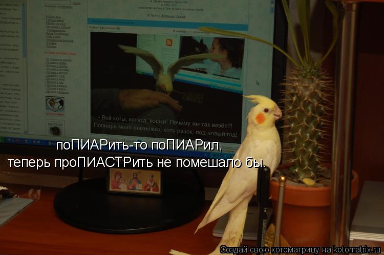 поПИАРить-то поПИАРил, теперь проПИАСТРить не помешало бы.... Котоматрица: поПИАРить-то поПИАРил, теперь проПИАСТРить не помешало бы.
