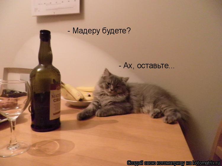 - Мадеру будете? - Ах, оставьте...... Котоматрица: - Мадеру будете? - Ах, оставьте...