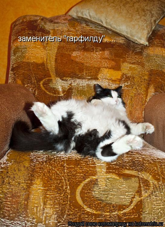 Котоматрица: заменитель "гарфилду".....