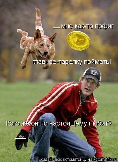 Котоматрица: ___ Кого же он по настоящему любит? __ мне как-то пофиг. главное-тарелку поймать!
