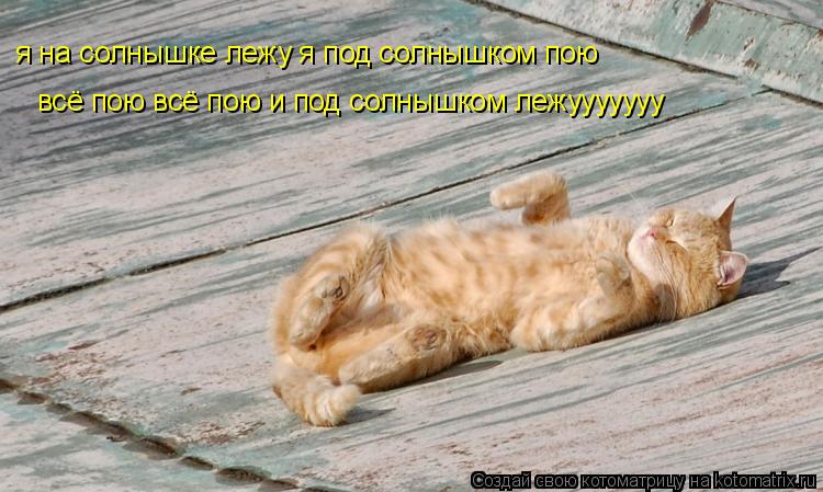 Котоматрица: я на солнышке лежу я под солнышком пою  всё пою всё пою и под солнышком лежууууууу