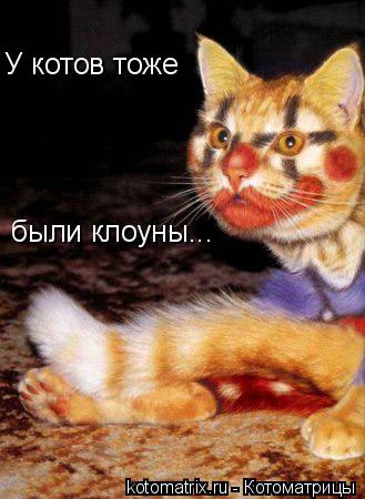 Котоматрица: У котов тоже  были клоуны...