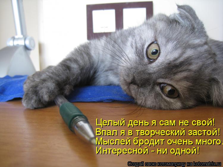 Целый день я сам не свой! Впал я в творческий застой! Мыслей бродит очень много. Интересной - ни одно... Котоматрица: Целый день я сам не свой! Впал я в творческий застой! Мыслей бродит очень много. Интересной - ни одной!