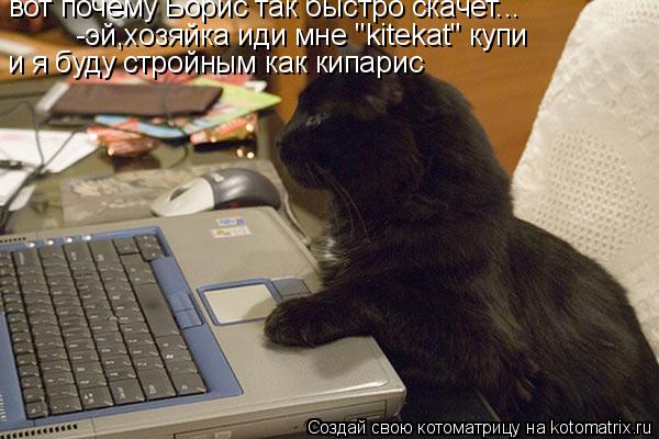 вот почему Борис так быстро скачет... и я буду стройным как кипарис -эй,хозяйка иди мне "kitekat" куп... Котоматрица: вот почему Борис так быстро скачет... и я буду стройным как кипарис -эй,хозяйка иди мне "kitekat" купи