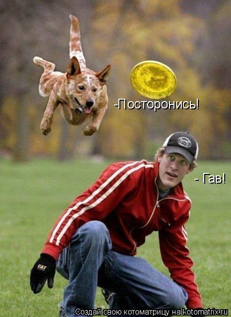 -Посторонись! - Гав!... Котоматрица: -Посторонись! - Гав!