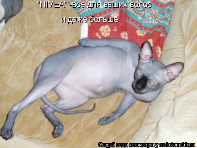 Котоматрица: "NIVEA" -все для ваших волос и даже больше