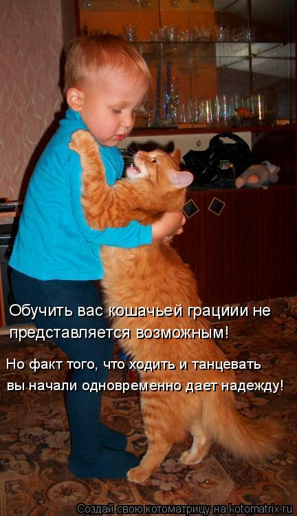 Котоматрица: Обучить вас кошачьей грациии не  представляется возможным! вы начали одновременно дает надежду! Но факт того, что ходить и танцевать