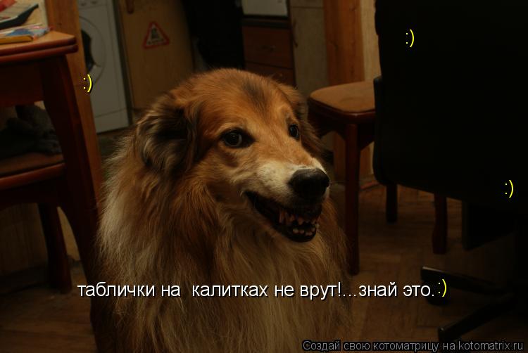 таблички на калитках не врут!...знай это. :) :) :) :)... Котоматрица: таблички на калитках не врут!...знай это. :) :) :) :)