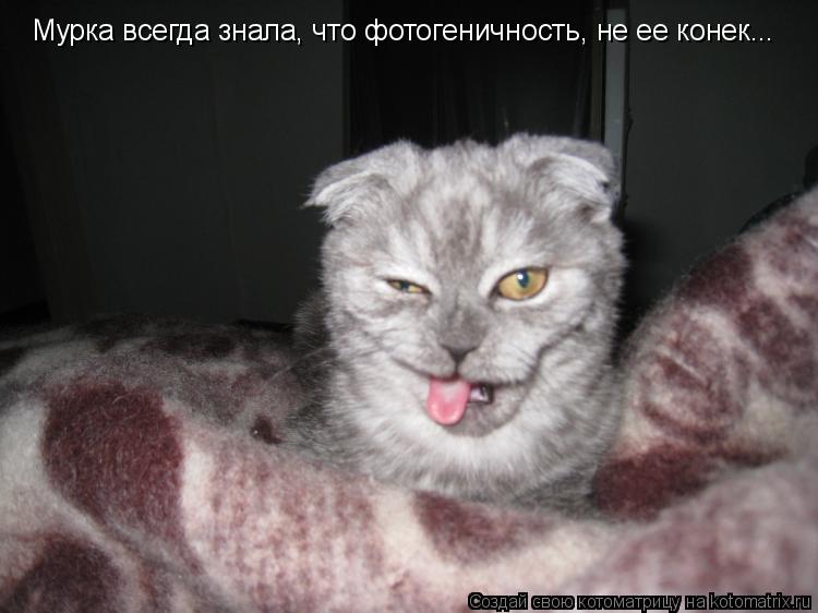 Мурка всегда знала, что фотогеничность, не ее конек...... Котоматрица: Мурка всегда знала, что фотогеничность, не ее конек...