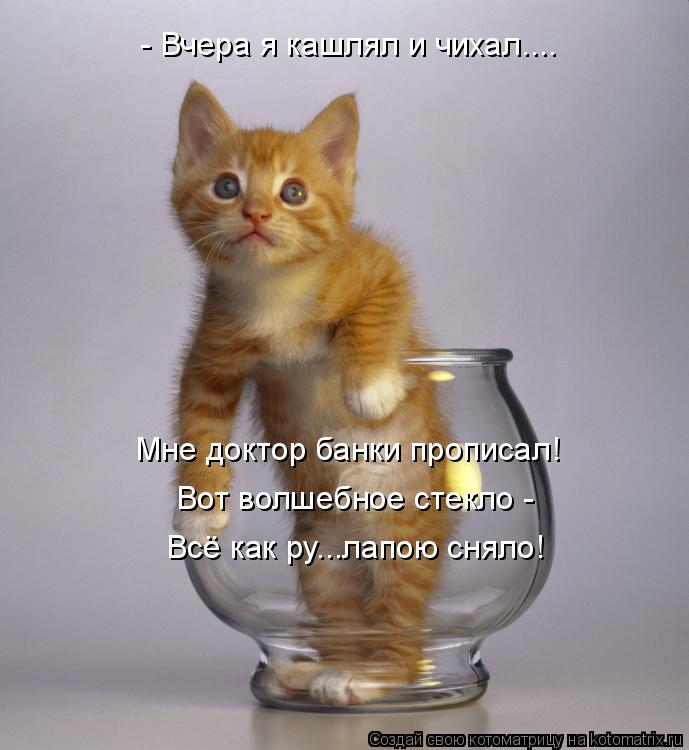 Котоматрица: Мне доктор банки прописал!  - Вчера я кашлял и чихал.... Вот волшебное стекло - Всё как ру...лапою сняло!