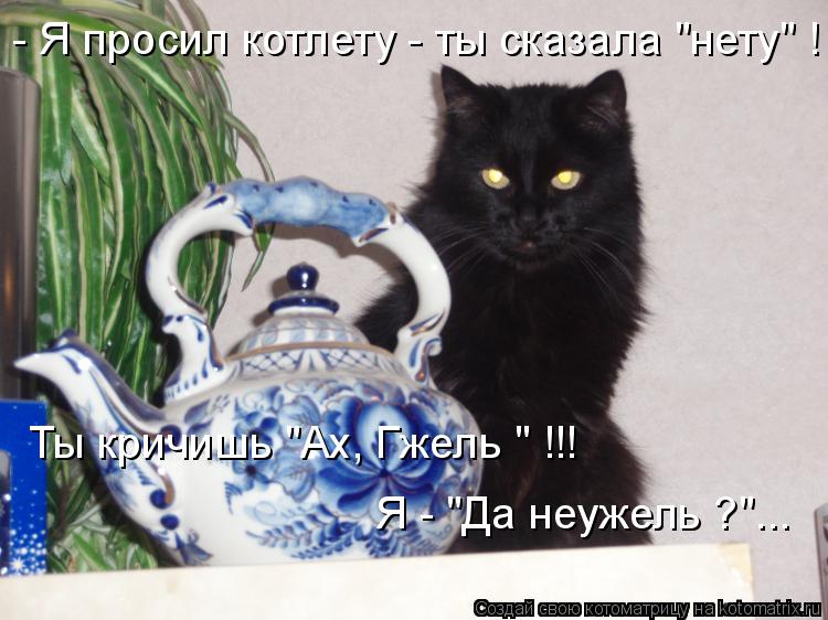 Котоматрица: - Я просил котлету - ты сказала "нету" ! Ты кричишь "Ах, Гжель " !!! Я - "Да неужель ?"...