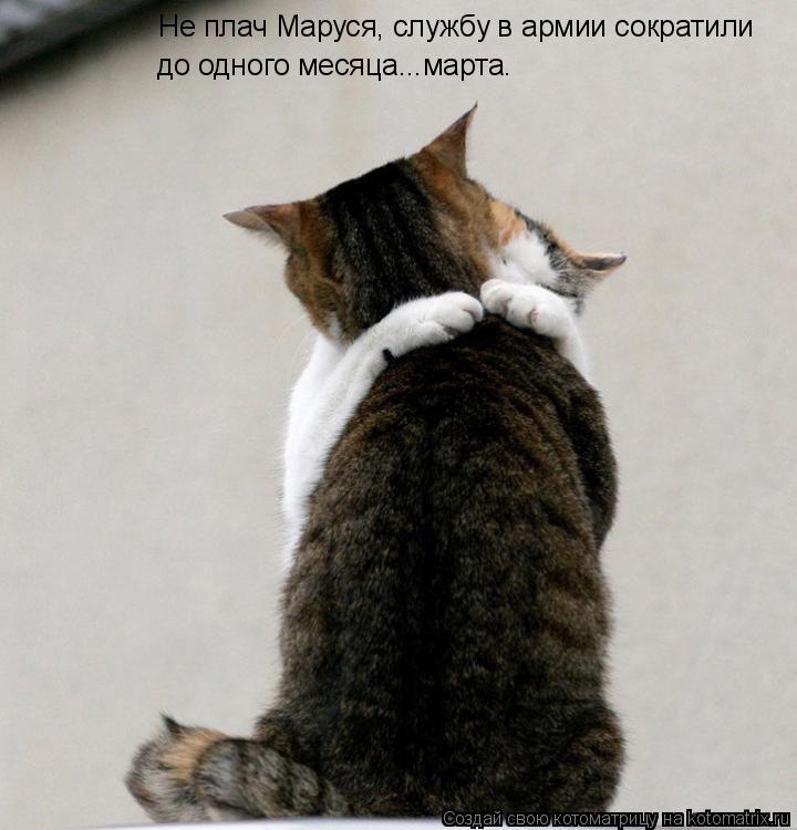 Не плач Маруся, службу в армии сократили до одного месяца...марта.... Котоматрица: Не плач Маруся, службу в армии сократили до одного месяца...марта.