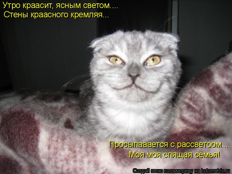 Котоматрица: Утро краасит, ясным светом.... Стены краасного кремляя... Просыпааается с рассветоом... Моя моя спящая семья!
