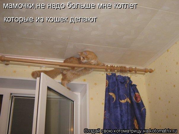 Котоматрица: мамочки,не надо больше мне котлет которые из кошек делают