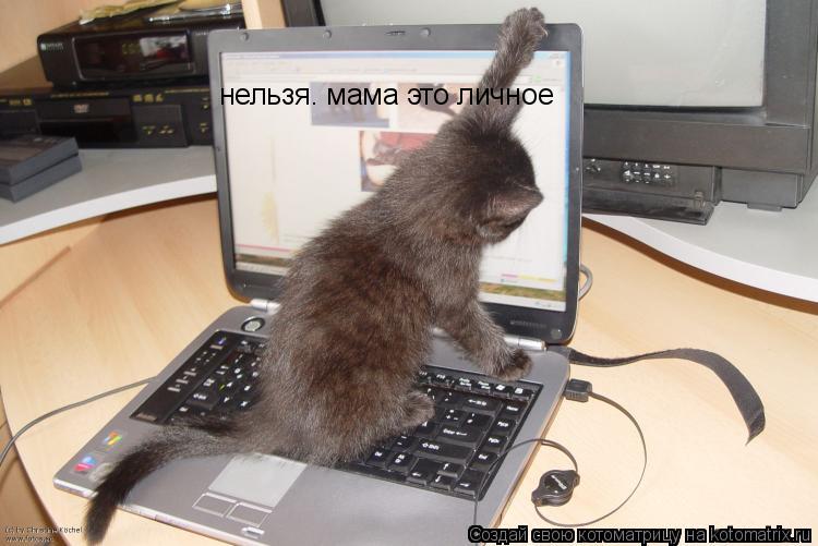 Котоматрица: нельзя. мама это личное