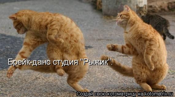 Котоматрица: Брейк-данс студия "Рыжик".
