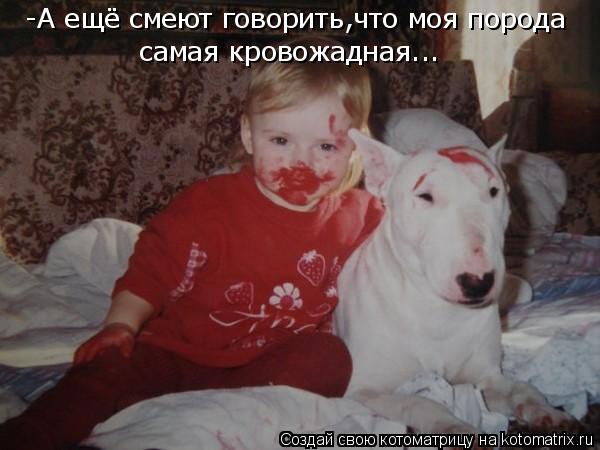 Котоматрица: -А ещё смеют говорить,что моя порода самая кровожадная...