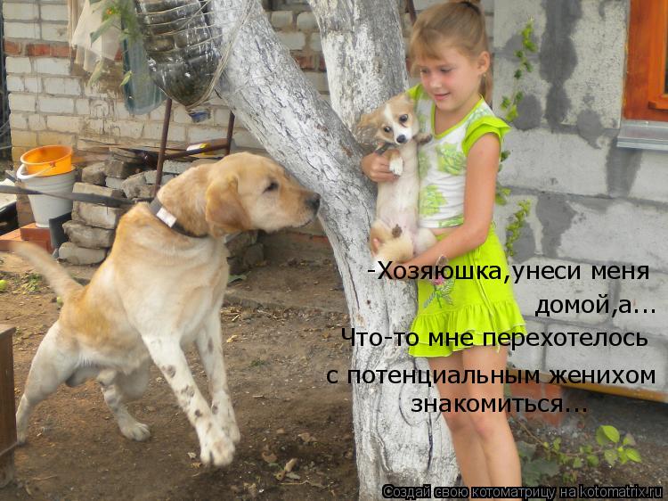 -Хозяюшка,унеси меня домой,а... Что-то мне перехотелось с потенциальным женихом знакомиться...... Котоматрица: -Хозяюшка,унеси меня домой,а... Что-то мне перехотелось с потенциальным женихом знакомиться...