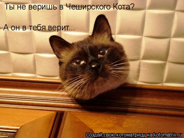 Ты не веришь в Чеширского Кота? А он в тебя верит...... Котоматрица: Ты не веришь в Чеширского Кота? А он в тебя верит...