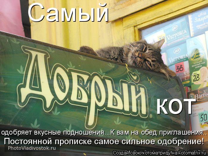 одобряет вкусные подношения...К вам на обед приглашения.. кот Самый Постоянной прописке самое сильное... Котоматрица: одобряет вкусные подношения...К вам на обед приглашения.. кот Самый Постоянной прописке самое сильное одобрение!
