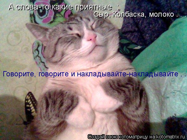 А слова-то какие приятные : Сыр, Колбаска, молоко . . . Говорите, говорите и накладывайте-накладывай... Котоматрица: А слова-то какие приятные : Сыр, Колбаска, молоко . . . Говорите, говорите и накладывайте-накладывайте . . .