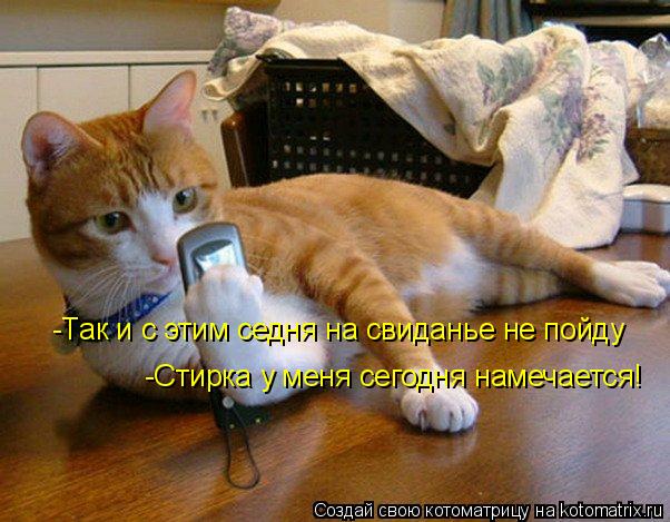 -Так и с этим седня на свиданье не пойду -Стирка у меня сегодня намечается!... Котоматрица: -Так и с этим седня на свиданье не пойду -Стирка у меня сегодня намечается!