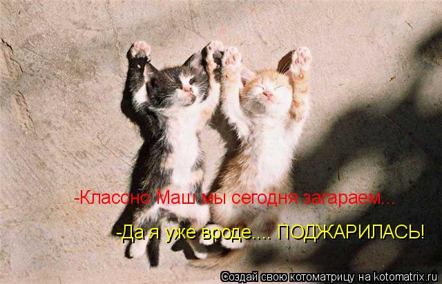 -Классно Маш мы сегодня загараем... -Да я уже вроде.... ПОДЖАРИЛАСЬ!... Котоматрица: -Классно Маш мы сегодня загараем... -Да я уже вроде.... ПОДЖАРИЛАСЬ!