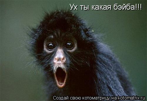Ух ты какая бэйба!!!... Котоматрица: Ух ты какая бэйба!!!