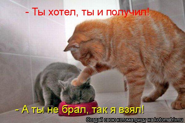 - Ты хотел, ты и получил! - А ты не брал, так я взял!... Котоматрица: - Ты хотел, ты и получил! - А ты не брал, так я взял!