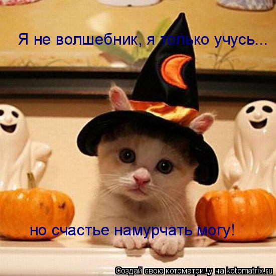 Я не волшебник, я только учусь... но счастье намурчать могу!... Котоматрица: Я не волшебник, я только учусь... но счастье намурчать могу!