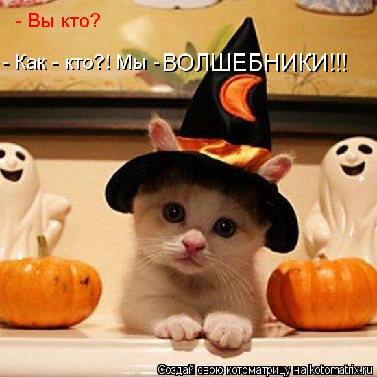 - Вы кто? - Как - кто?! Мы - ВОЛШЕБНИКИ!!!... Котоматрица: - Вы кто? - Как - кто?! Мы - ВОЛШЕБНИКИ!!!