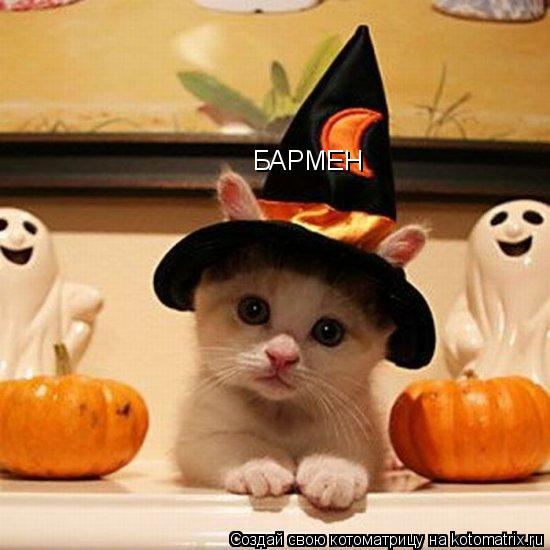 БАРМЕН... Котоматрица: БАРМЕН